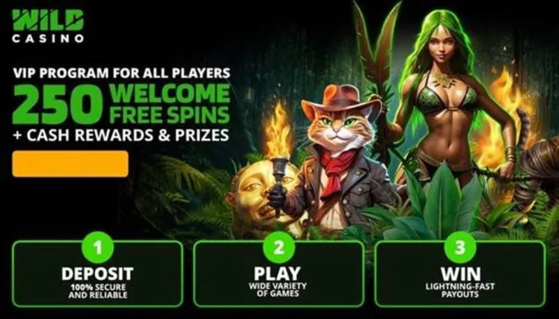 Casino Bonus Philippines - Claim Bonus Chips & Spins
